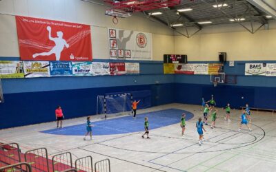 D-Jugend (w) – Spielbericht vom 28.10.2023 vs. Stahl Rietschen