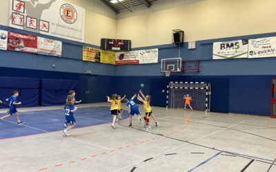 F-Jugend II – Spielbericht vom 11.01.2025 vs. HC Rödertal und HC Rödertal II