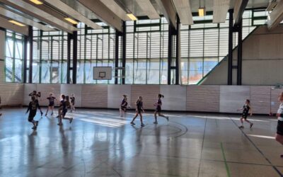 E-Jugend (w) – Spielbericht vom 09.02.2025 vs. HC Rödertal II und HC Rödertal