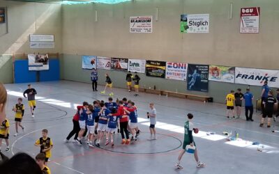 D-Jugend (m) – Spielbericht vom 12.04.2025 vs. SG Pulsnitz/Oberlichtenau