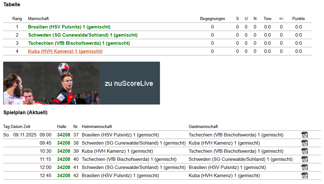 HVH E-Jugend Mini WM Vorrunde