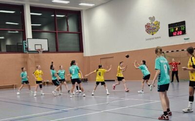 D-Jugend (w) – Spielbericht vom 13.11.2025 vs. HC Rödertal II 