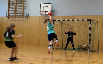 D-Jugend (w) – Spielbericht vom 17.01.2026 vs. SV Obergurig